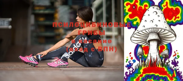 метамфетамин Алексеевка